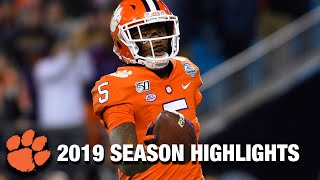 Tee Higgins 2019 Season Highlights  Clemson WR [upl. by Yrokcaz]