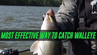 The Most EFFECTIVE Way To Catch WALLEYE EASY How To [upl. by Akimed]