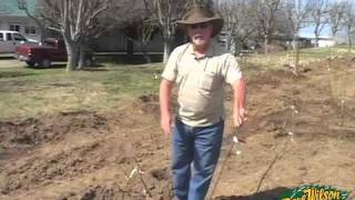 Backyard Orchard Demo  planting [upl. by Mezoff]