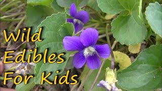 6 Wild Edible Plants For Kids [upl. by Melissa]