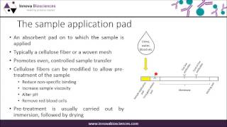 Lateral Flow Webinar A Guide to Lateral Flow Immunoassay Development [upl. by Hamehseer]