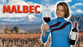 Wine Grapes 101 MALBEC [upl. by Cristobal]