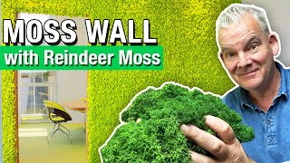 How to Build a Moss Wall With Reindeer Moss [upl. by Lunette]