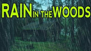 🎧 RAIN SOUNDS IN THE WOODS  Ambient Noise For Sleep Relaxation and Studying  Ultizzz day9 [upl. by Esylle]