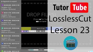 LossLessCut Tutorial  Lesson 23  Separate Audio and Video by using Extract All Streams [upl. by Gherlein]