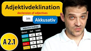 Adjektivdeklination Im Akkusativ  German Adjective Endings in Accusative [upl. by Wylde970]