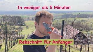 Rebschnitt für Anfänger [upl. by Ereveneug]