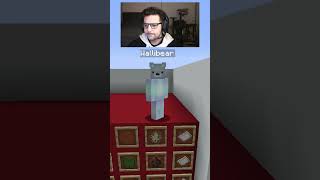 WALLIBEAR TAKES ON MOB ARENA gaming ⁠youtube funny minecraft memes tiktok shorts ytshorts [upl. by Madriene]