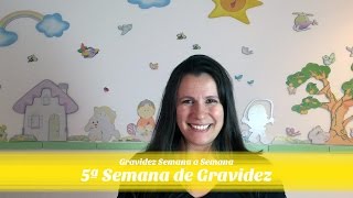 5ª SEMANA DE GRAVIDEZ [upl. by Winne]