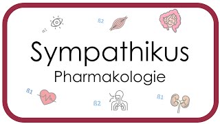 Vegetatives Nervensystem  Sympathikus  Pharmakologie [upl. by Solakcin574]