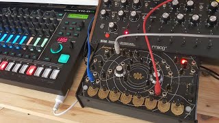 Jam 6 QUADRANTID SWARM DFAM and TR8S Techno 即興テクノ [upl. by Haile]