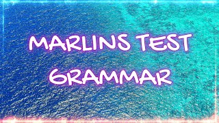 Marlins Test For Seafarer  Grammar [upl. by Ellimahs373]