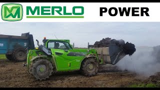 Merlo TF 337 telehandler loading manure [upl. by Bautram]