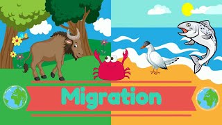 Migration  Science for Kids  PrimaryWorld [upl. by Aicirtac]