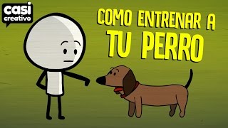 Cómo entrenar a tu perro  Casi Creativo [upl. by Ddot]