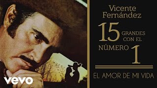 Vicente Fernández  El Amor de Mi Vida Tema Remasterizado Cover Audio [upl. by Galliett]