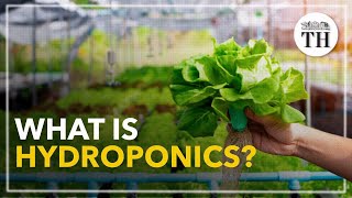 All about Hydroponics [upl. by Millburn951]