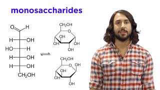 Carbohydrates Part 1 Simple Sugars and Fischer Projections [upl. by Lavoie]