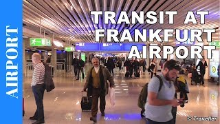 TRANSIT WALK AT FRANKFURT Airport FRA Terminal 1  Connection Flight Transfer Arriving amp Departing [upl. by Llydnek166]