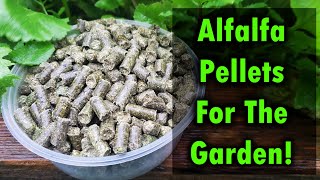 Alfalfa Pellets As Fertilizer For Your Garden [upl. by Gentry]