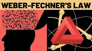 Weber Fechners Law Explained [upl. by Catlee475]