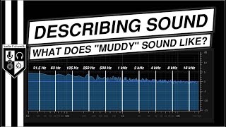 What Does quotMuddyquot quotBoxyquot amp quotTinnyquot Sound Like  WORDS TO DESCRIBE SOUND QUALITY [upl. by Shina]