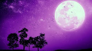 DEEP SLEEP in 5 MINUTES Relaxing Music • Sleep Music • Calming Music Stress Relief • Delta Waves [upl. by Berglund]