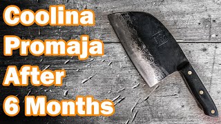 TRUTH of Serbian Chef Knife After 6 Months [upl. by Brian98]