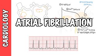 The 4 types of heart palpitations [upl. by Schofield591]