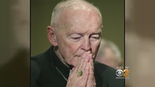 Seton Hall Opens Sexual Abuse Investigation Amid Cardinal McCarrick Accusations [upl. by Alit]