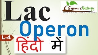 Lac operon in Hindi [upl. by Benjamen]