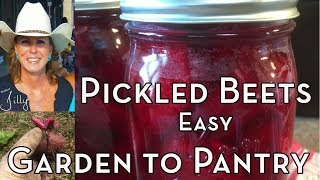 How to Pickle Beets Easy – From Garden to Pantry [upl. by Bar]