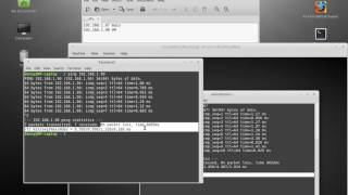 How to install and use a VNC Server amp Client in Linux mint [upl. by Einnalem]