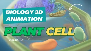 The Secret World Inside Plant Cells  3D Animation Reveals [upl. by Barrow]