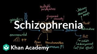 Schizophrenia  Behavior  MCAT  Khan Academy [upl. by Nigem953]