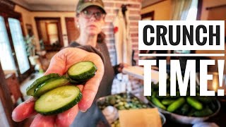 HOW TO KEEP PICKLES CRISP  Canning Dill Pickles [upl. by Nylahs]