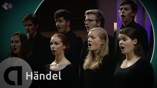 European Union Baroque Orchestra  Händel Conc Gr Op 3 nr 2 Ode for the Birthday of Queen Anne [upl. by Cinda]