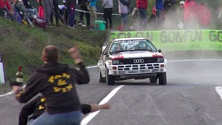 Best of Audi Quattro Rally  Pure Sound [upl. by Llenaj]