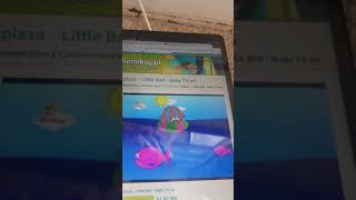 Babytv little ball goes to the beach [upl. by Betthezul]