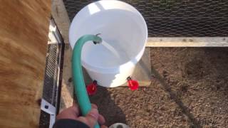 How To Make A Chicken Waterer Using 5 Gallon Bucket  Easy DIY [upl. by Gradey]