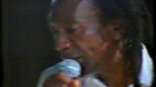 Thomas Mapfumo  Moyo Wangu 1994 [upl. by Saito]