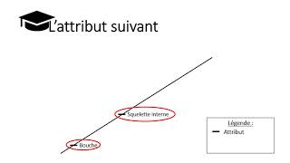 Construire un arbre de parenté [upl. by Dazraf]