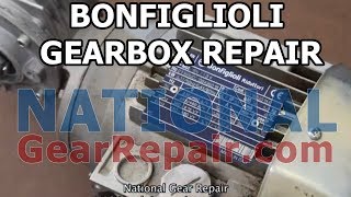 BonFiglioli Gearbox Repair [upl. by Rebecca782]