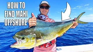 HOW TO FIND MAHI  Fishing for Pelagic Offshore Fish [upl. by Balfour]