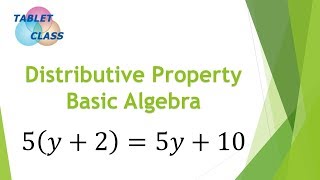 The Distributive Property Learn Basic Algebra [upl. by Terrijo]