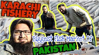 Karachi Fishery  Latest Rates  Fish  Prawn  Lobester کراچی فشری  تازہ ترین صورتحال 卡拉奇渔业 [upl. by Pember]