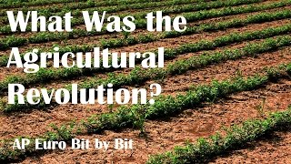 What Was the Agricultural Revolution AP Euro Bit by Bit 23 [upl. by Nyrahs208]