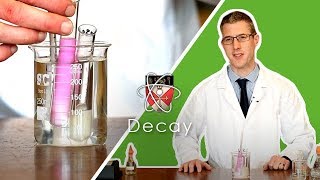 Decay  GCSE Biology Required Practical [upl. by Akener483]