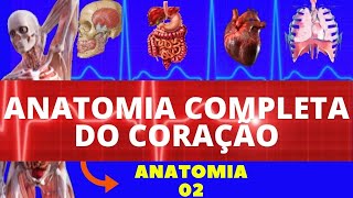 ANATOMIA DO CORAÇÃO LOCALIZAÇÃO CAMADAS VALVAS CORONÁRIAS E INERVAÇÃO  SISTEMA CARDIOVASCULAR [upl. by Oiluj316]