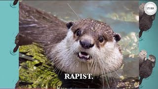 StirrED EP3 Otter Rape [upl. by Flannery132]